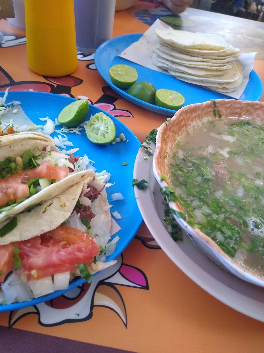 Bebidas