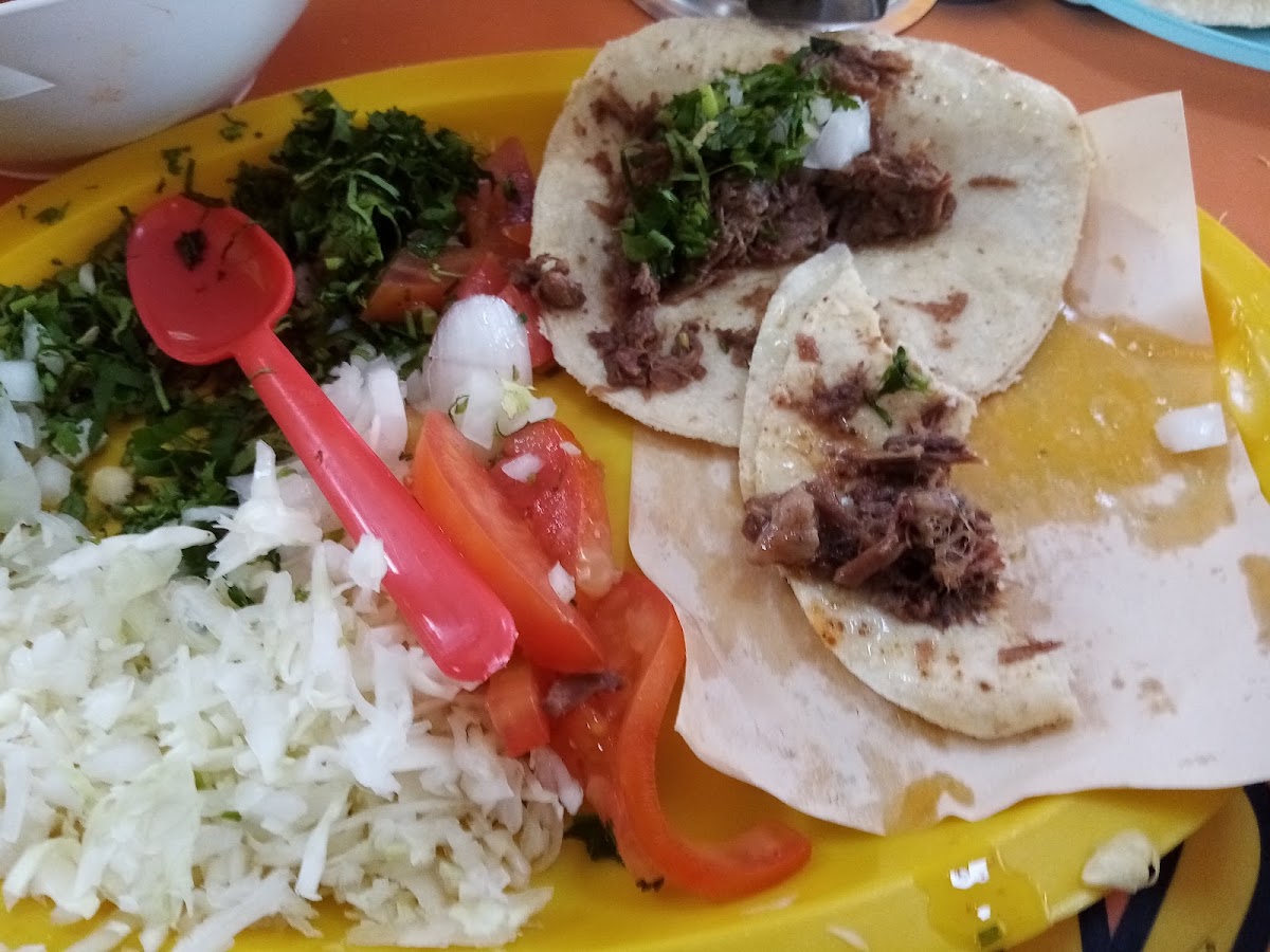 Tortas y Burritos